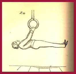 Front Lever 1862
