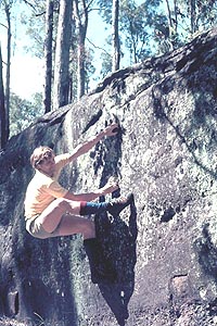 Cais at Toohet's Forest 1974